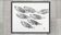 Original print of a school of fish