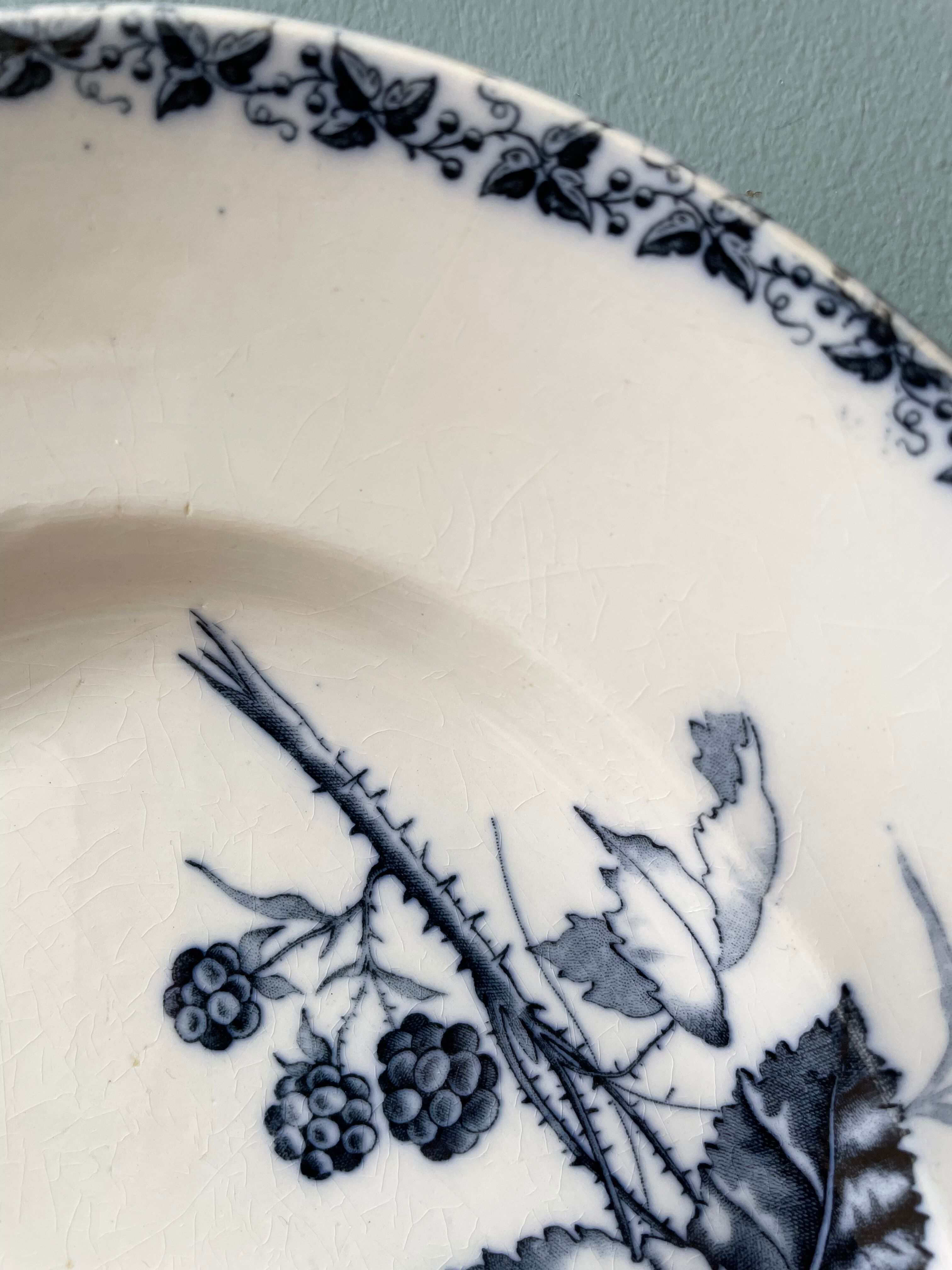 Set of two dishes "Blackberry" T.F Badonviller