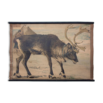 Poster "reindeer," lithograph Karl Jansky Böhmen 1897