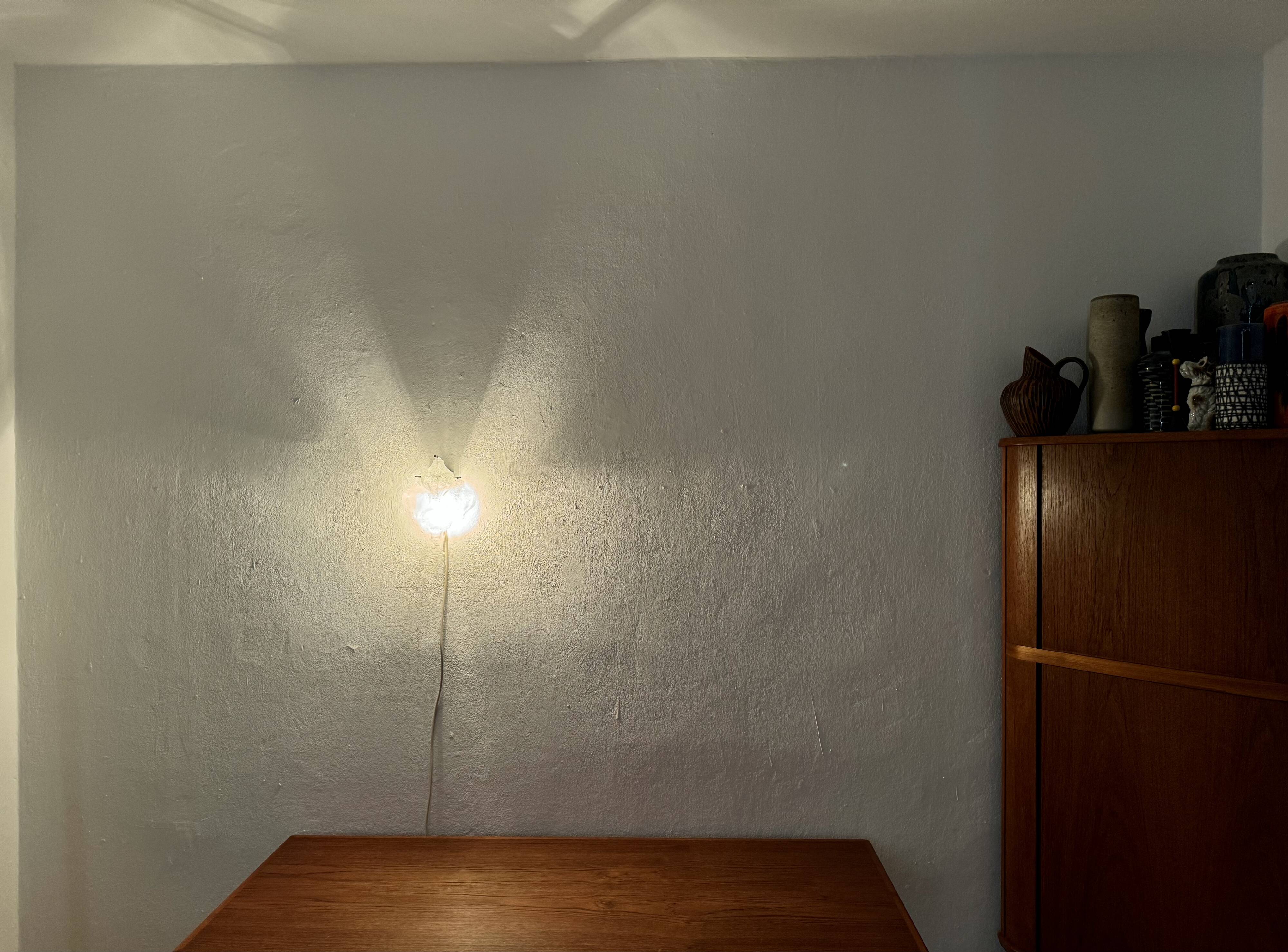 Tulipan Wall Lamp by J.T. Kalmar