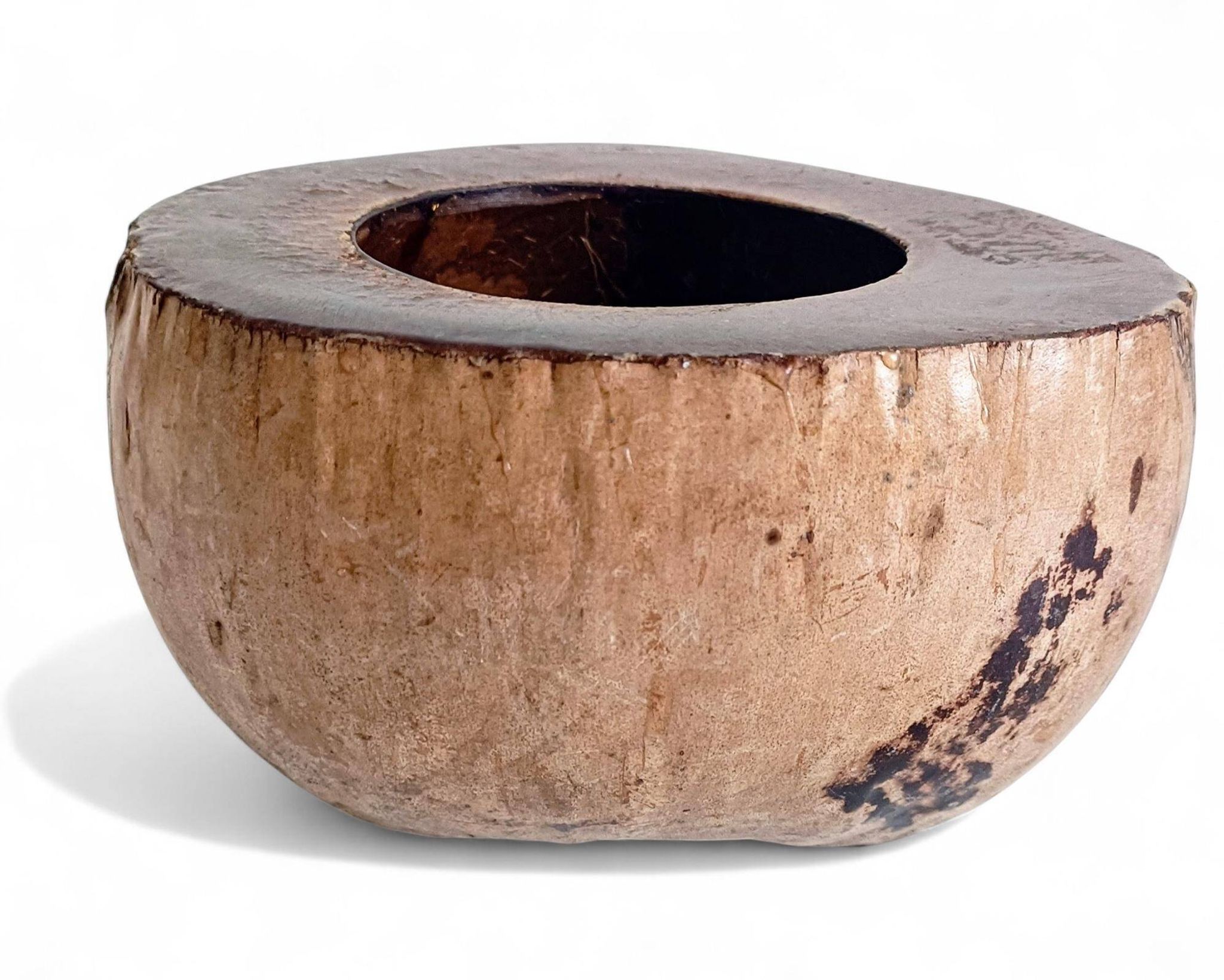 Centre de table Wabi Sabi moderne organique Coco de Mer, sculpté à la main, 19e siècle.