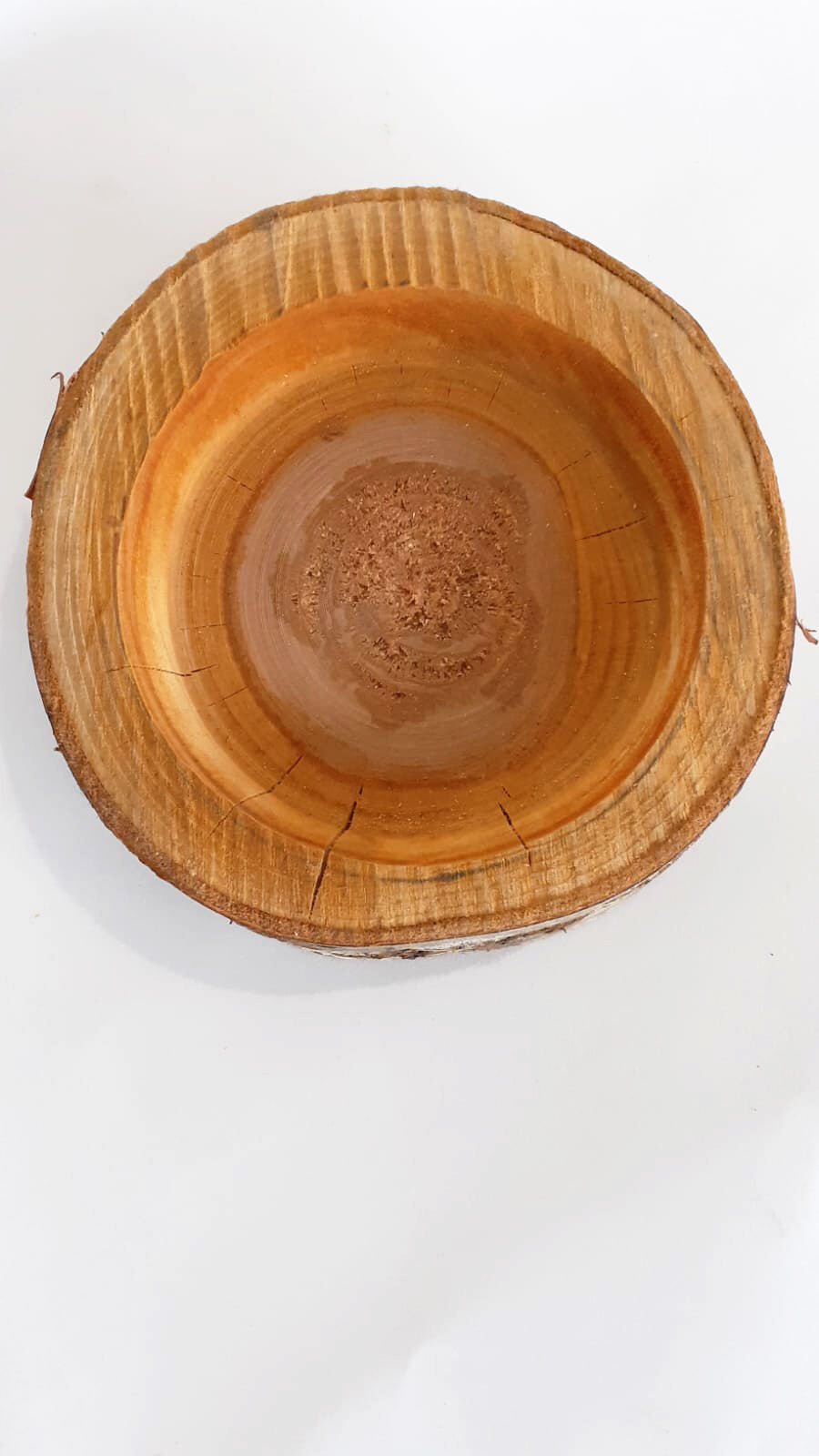 Empty raw wooden pocket with bark