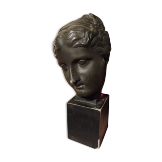 Diane bust in platre