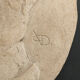 Old plaster medallion, man profile