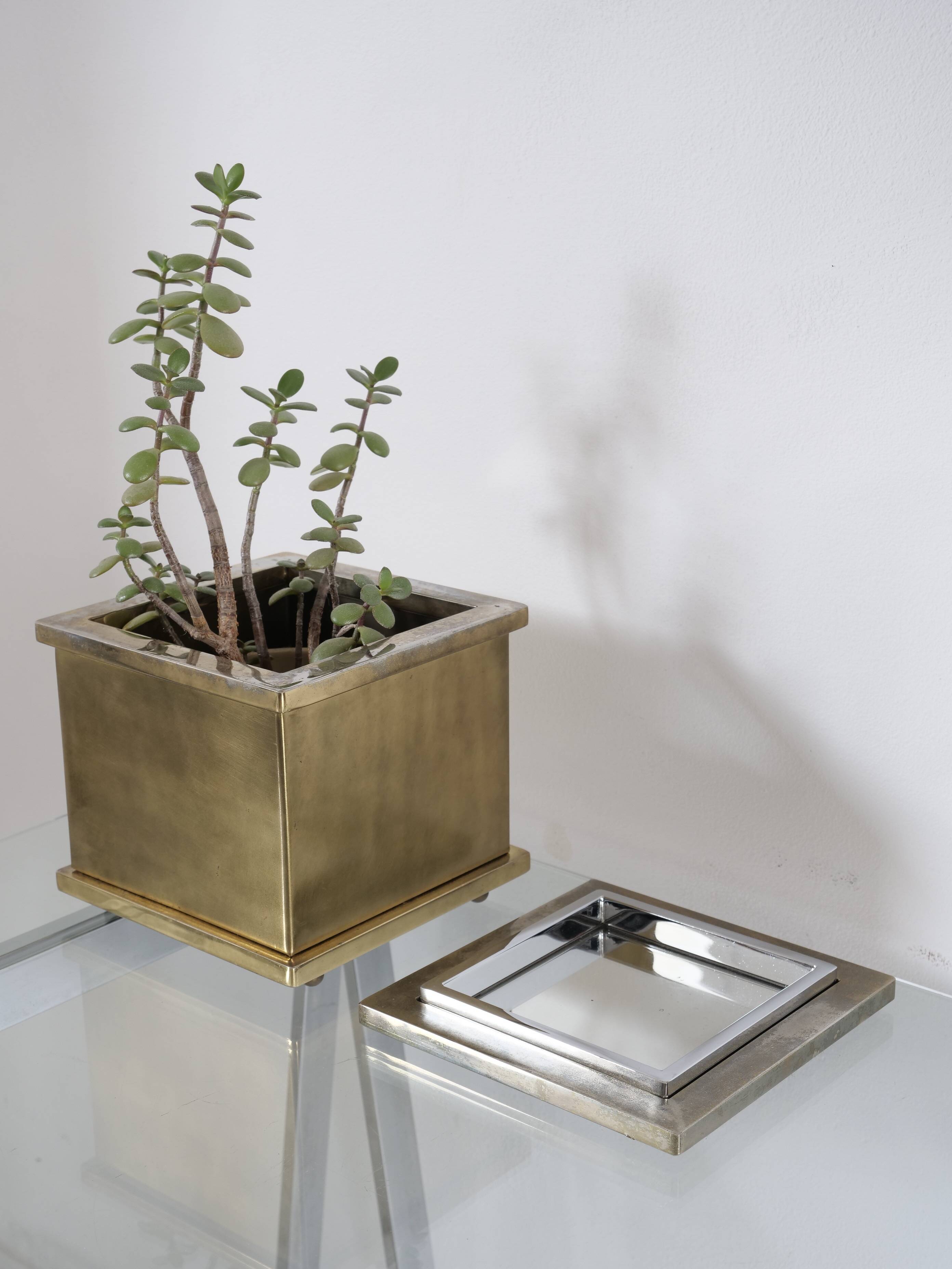 Belgo chrome luxury design plant pot