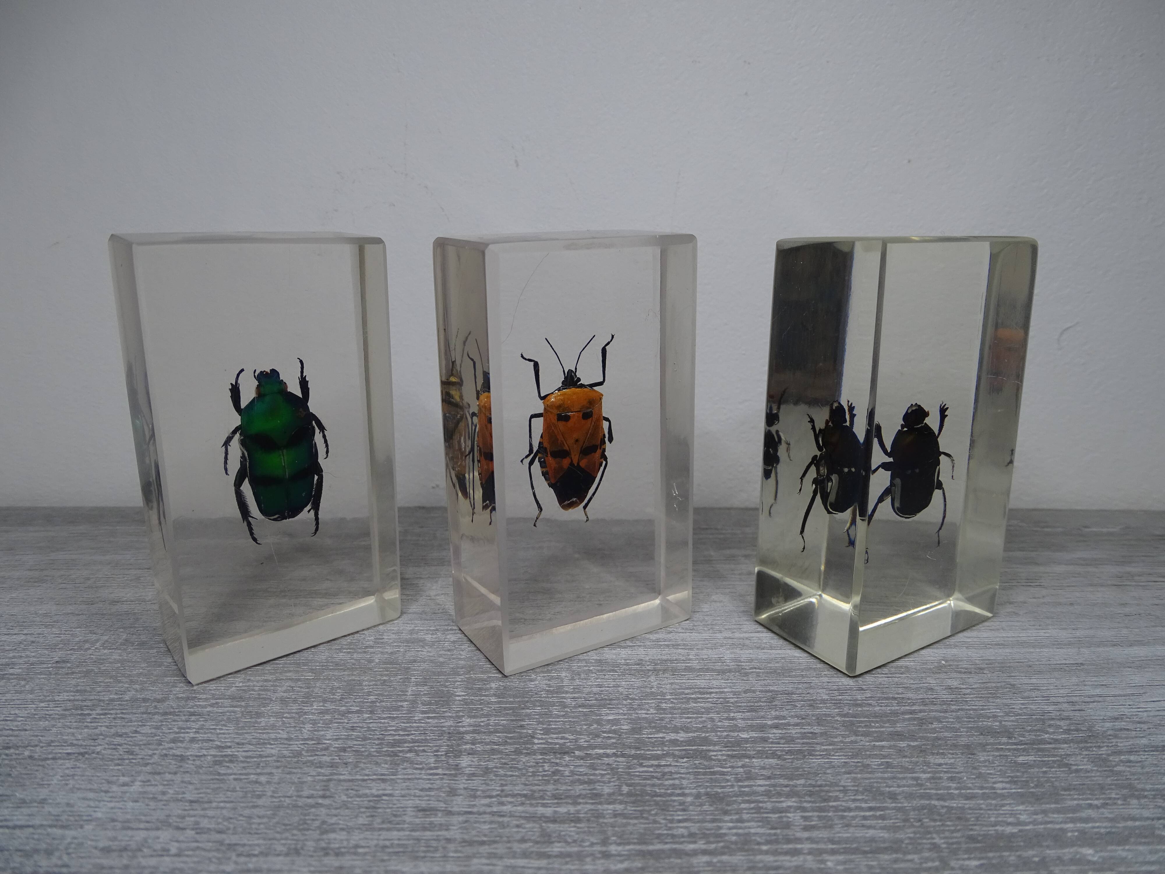 Lot 3 insectes sous inclusions résines vintage