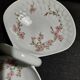 Servant aperitif porcelain dish Bernardaud Limoges decor Amandine