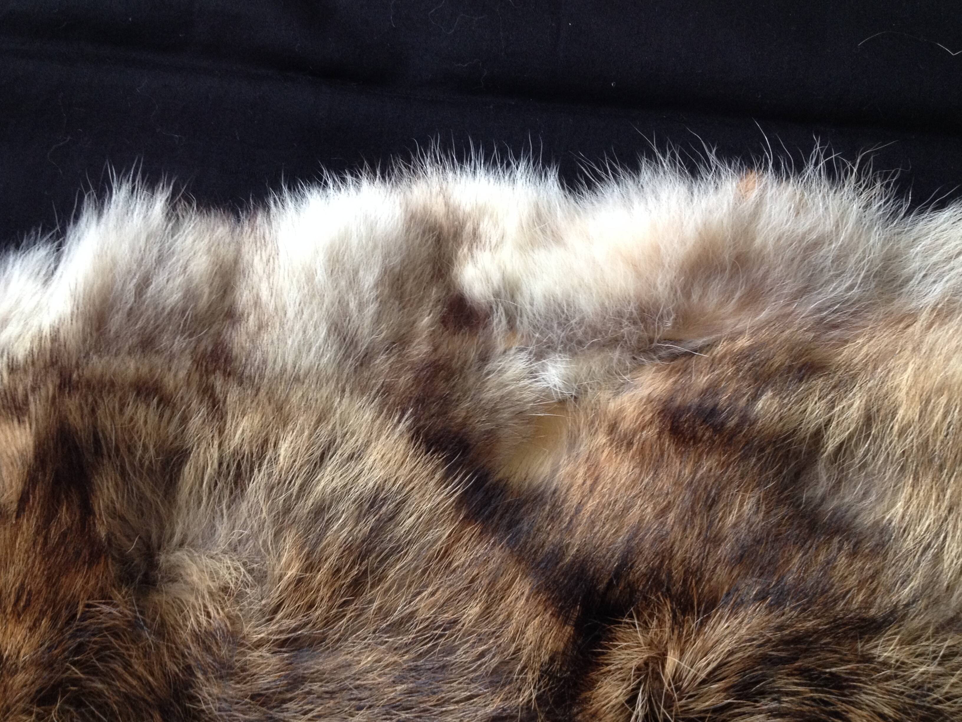 Vintage fox skin no. 1