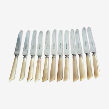 Suite 12 cheese knives dessert nineteenth horn handle