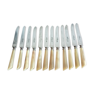 Suite 12 cheese knives dessert nineteenth horn handle