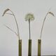 Green glass soliflores