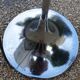 Paire de lampadaires space âge