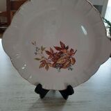 Plat Digoin Sareguemine