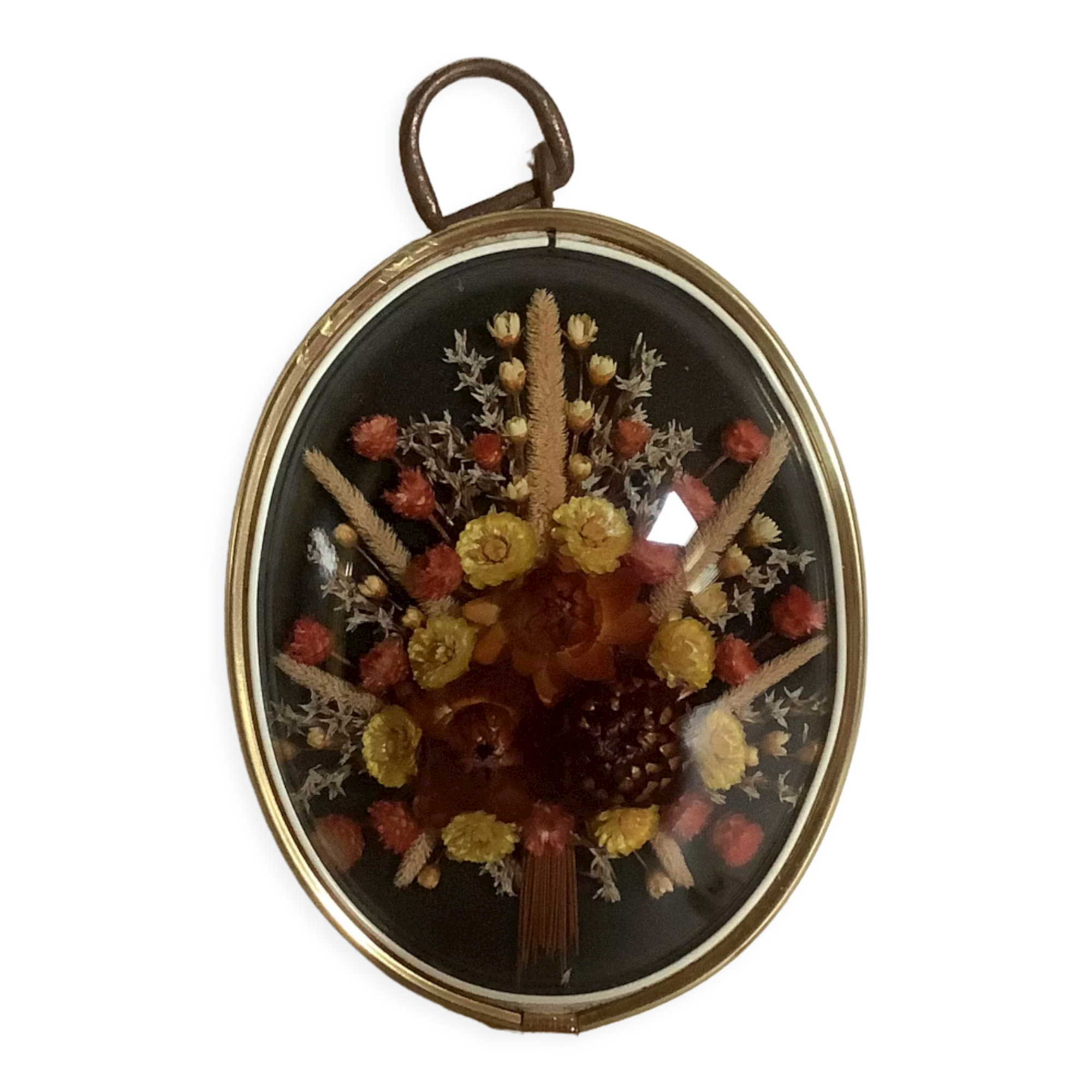 Old glass frame domed dried flowers