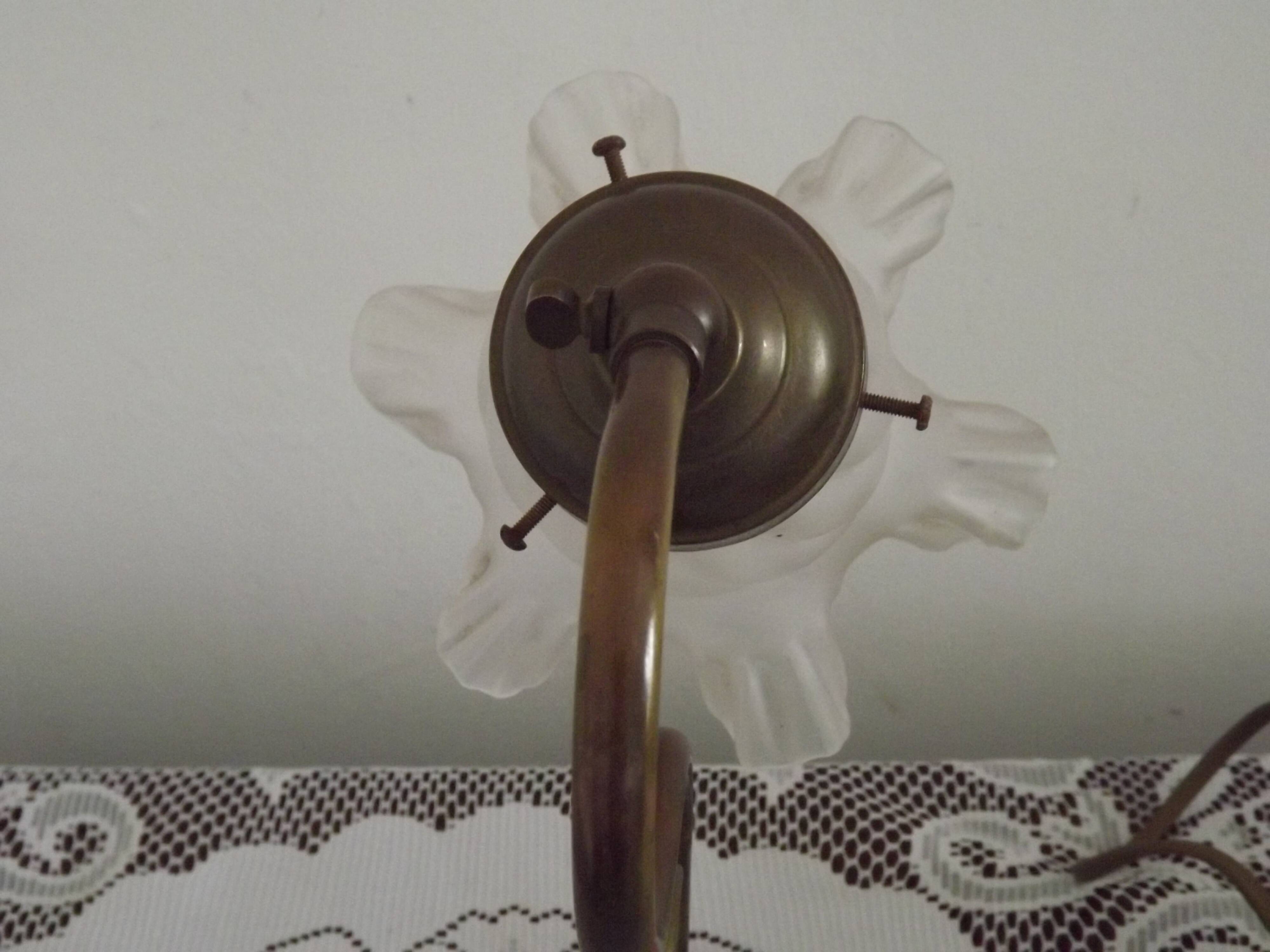 Vintage French Brass Gooseneck Table Lamp with Opaque Patterned Glass Shade 5522