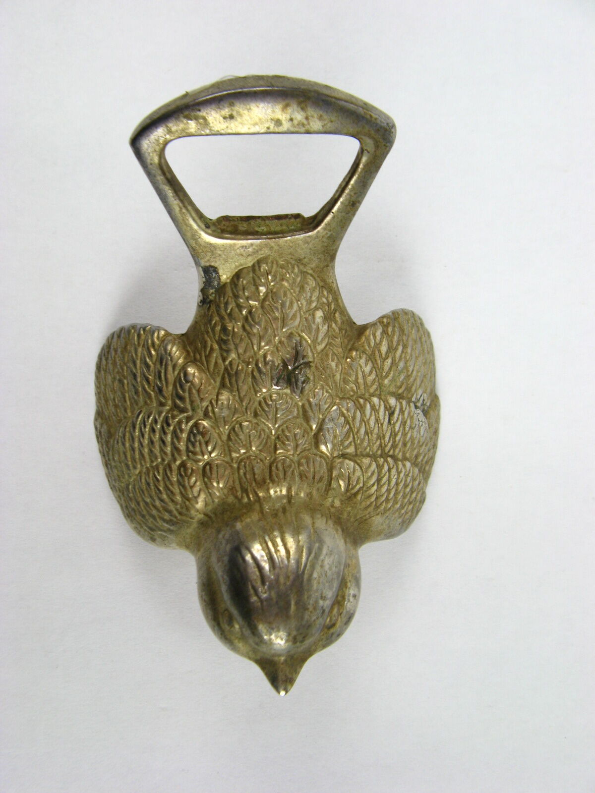 Bottle opener bird