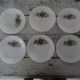 6 Dessert plates Arcopal model Fruits de France apple pear vintage grape