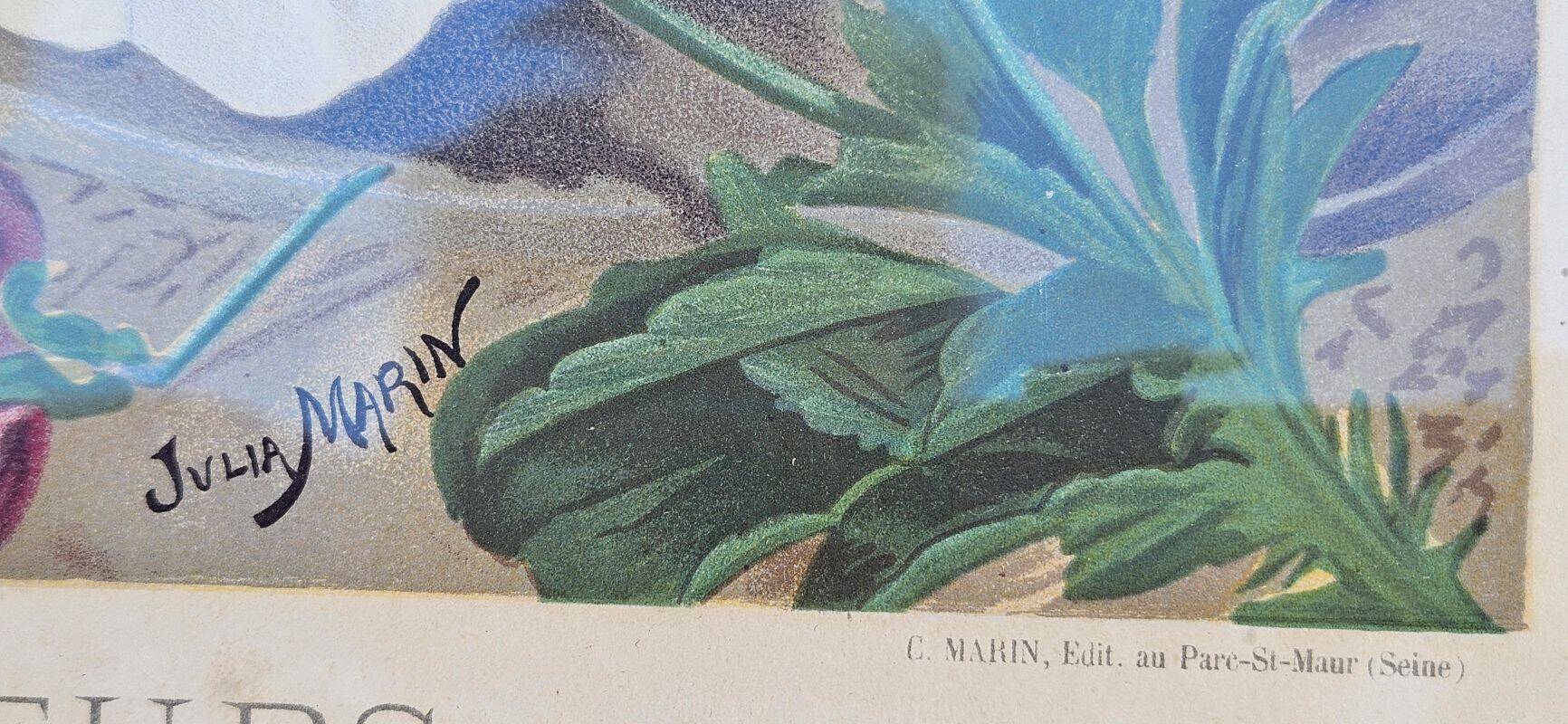 Julia Marin - Impression Thoughts on Large Flowers Around 1900