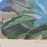 Julia Marin - Impression Thoughts on Large Flowers Around 1900