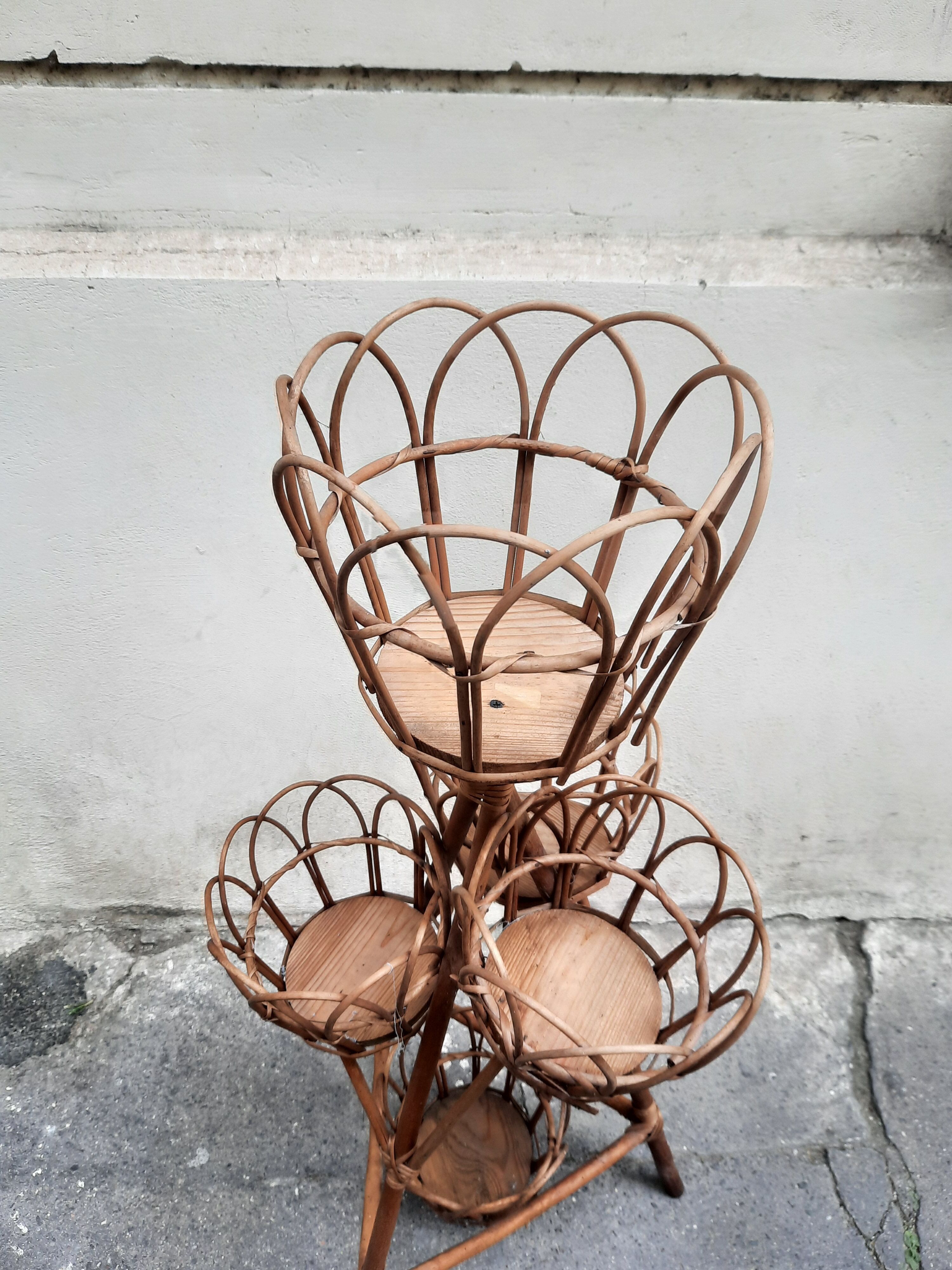Rattan plant holder