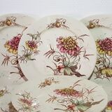 Lot de 6 assiettes à dessert en faïence de Luneville, terre de fer, polychrome