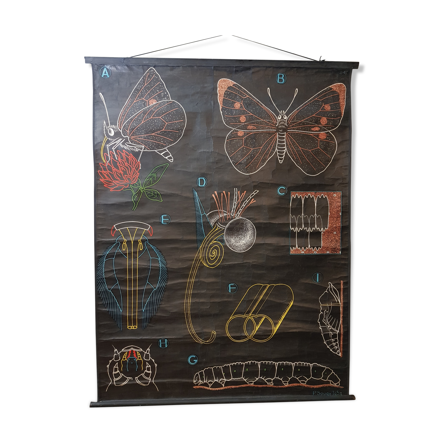 Affiche Paul Sougy le papillon 1953