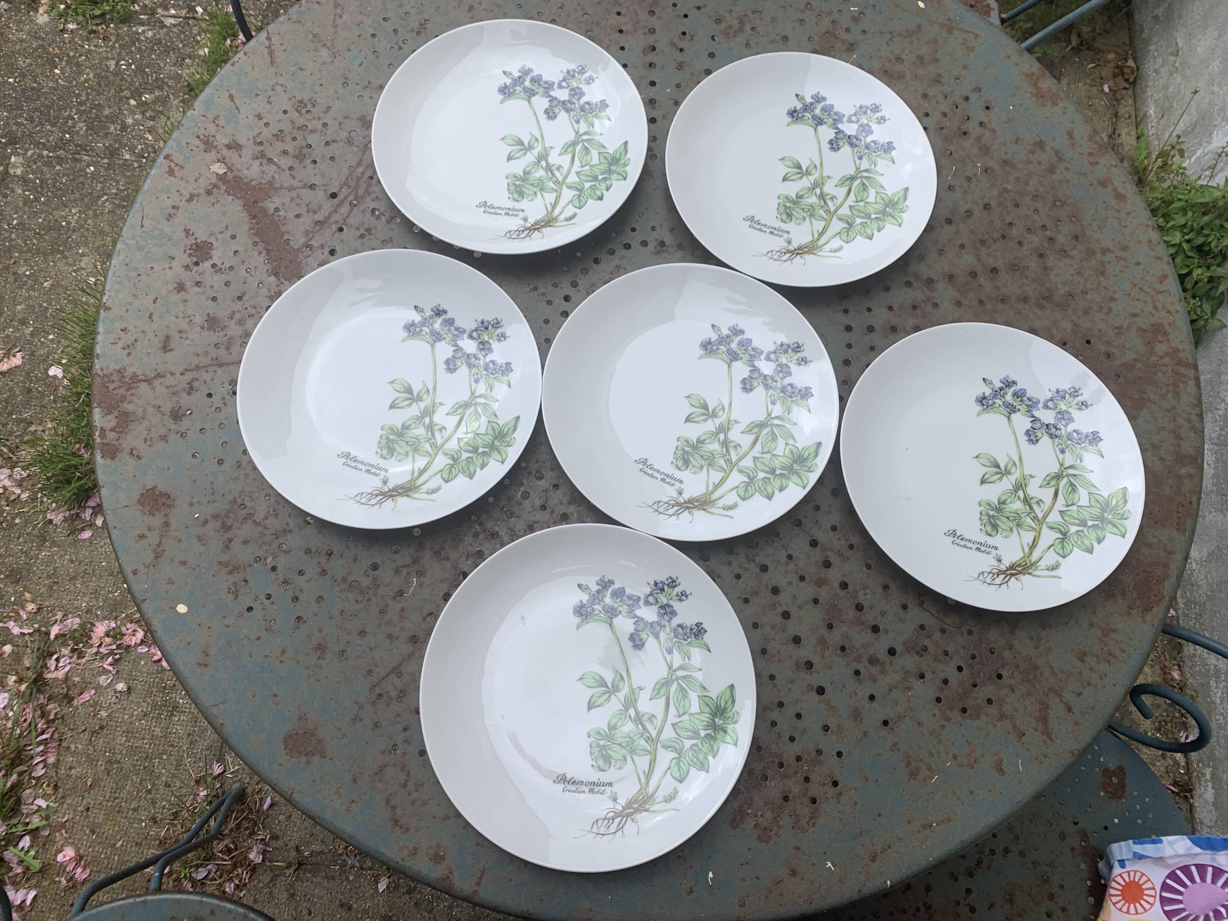 6 winterling bavaria porcelain herbarium pattern flat plates