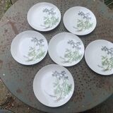 6 winterling bavaria porcelain herbarium pattern flat plates