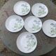 6 assiettes plates motif herbier en porcelaine winterling bavaria