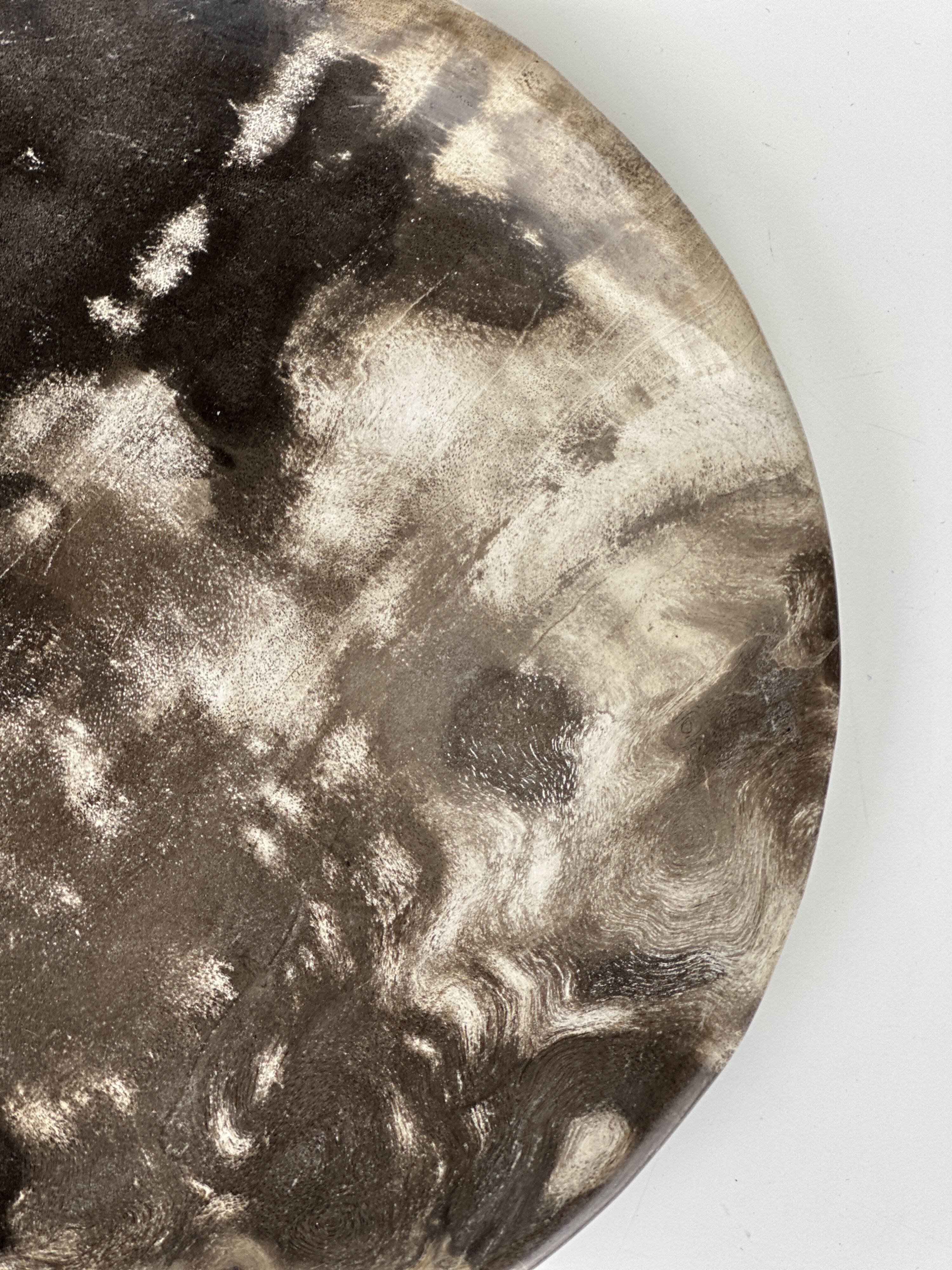 Dish in petrified wood