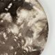 Dish in petrified wood