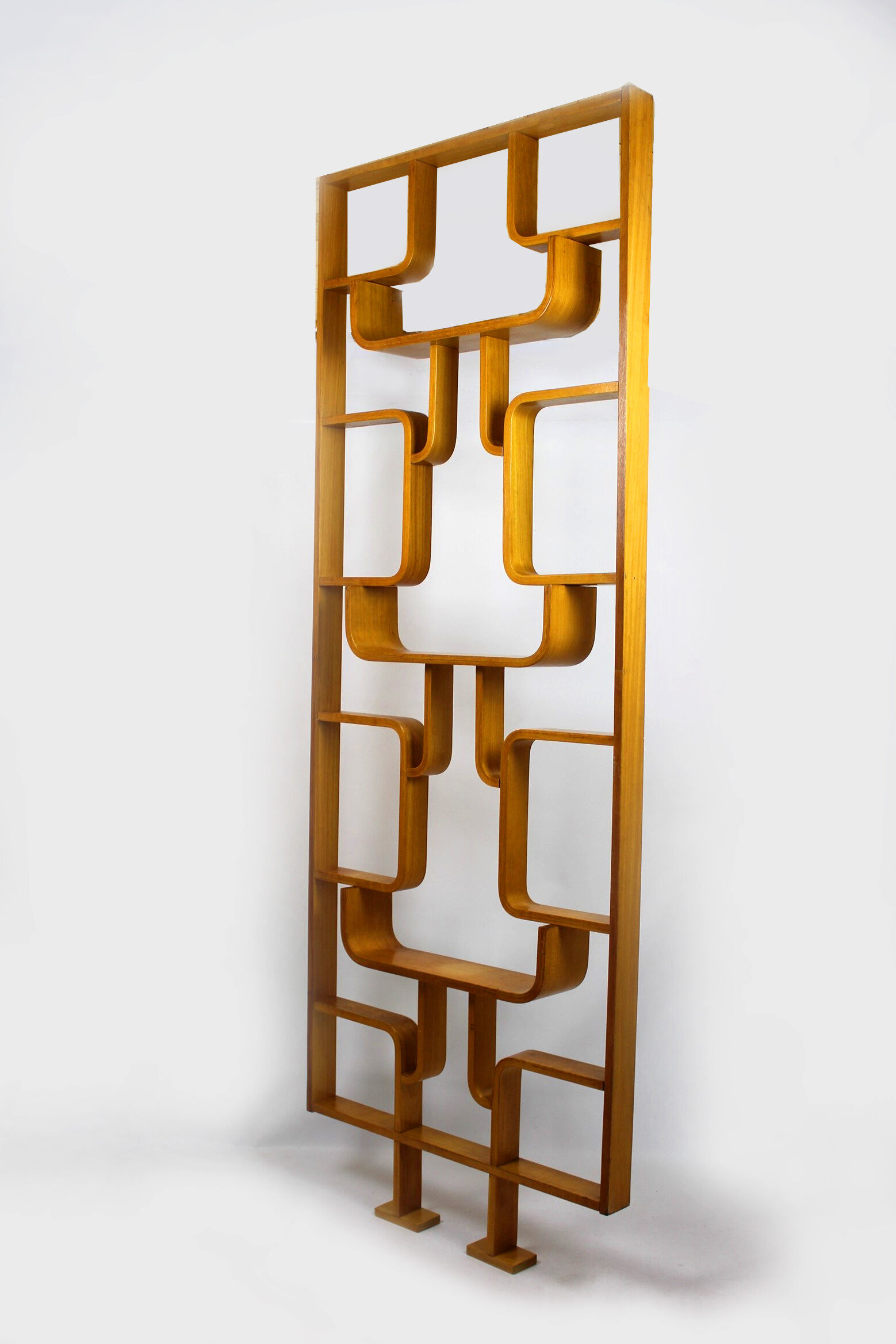 Claustra by Ludvik Volák for Drevopodnik Holešov, 1960s