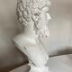 Greco-Roman bust in full plaster of Emperor Lucius Verus Borghese collection