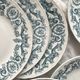 12 flat ironware plates “Louis XVI” Saint Amand and Hamage