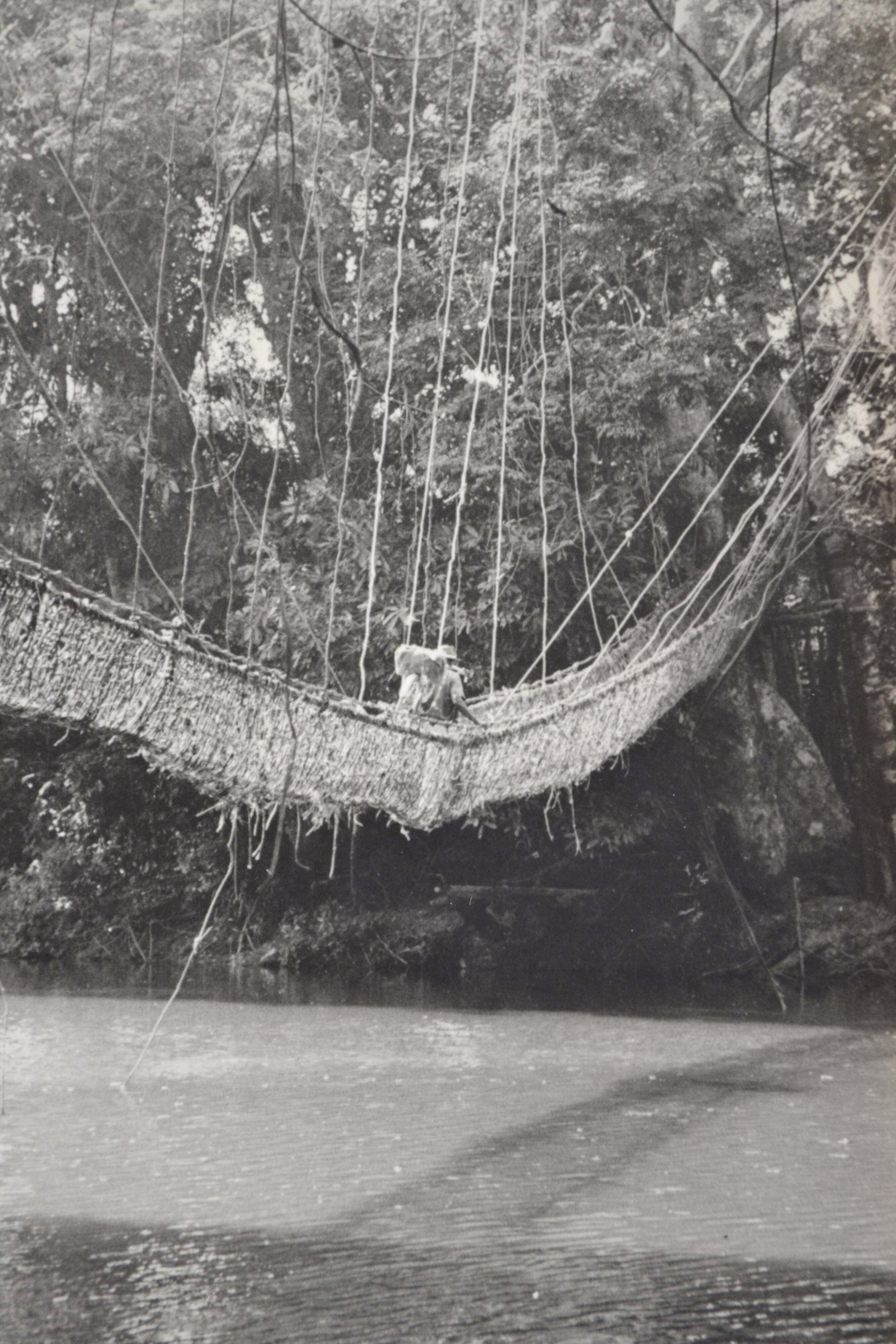 Anonymous silver photo africa gabon lianes bridge circa 1970