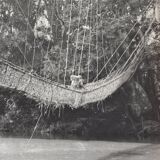 Anonymous silver photo africa gabon lianes bridge circa 1970
