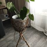 Rattan plant holder