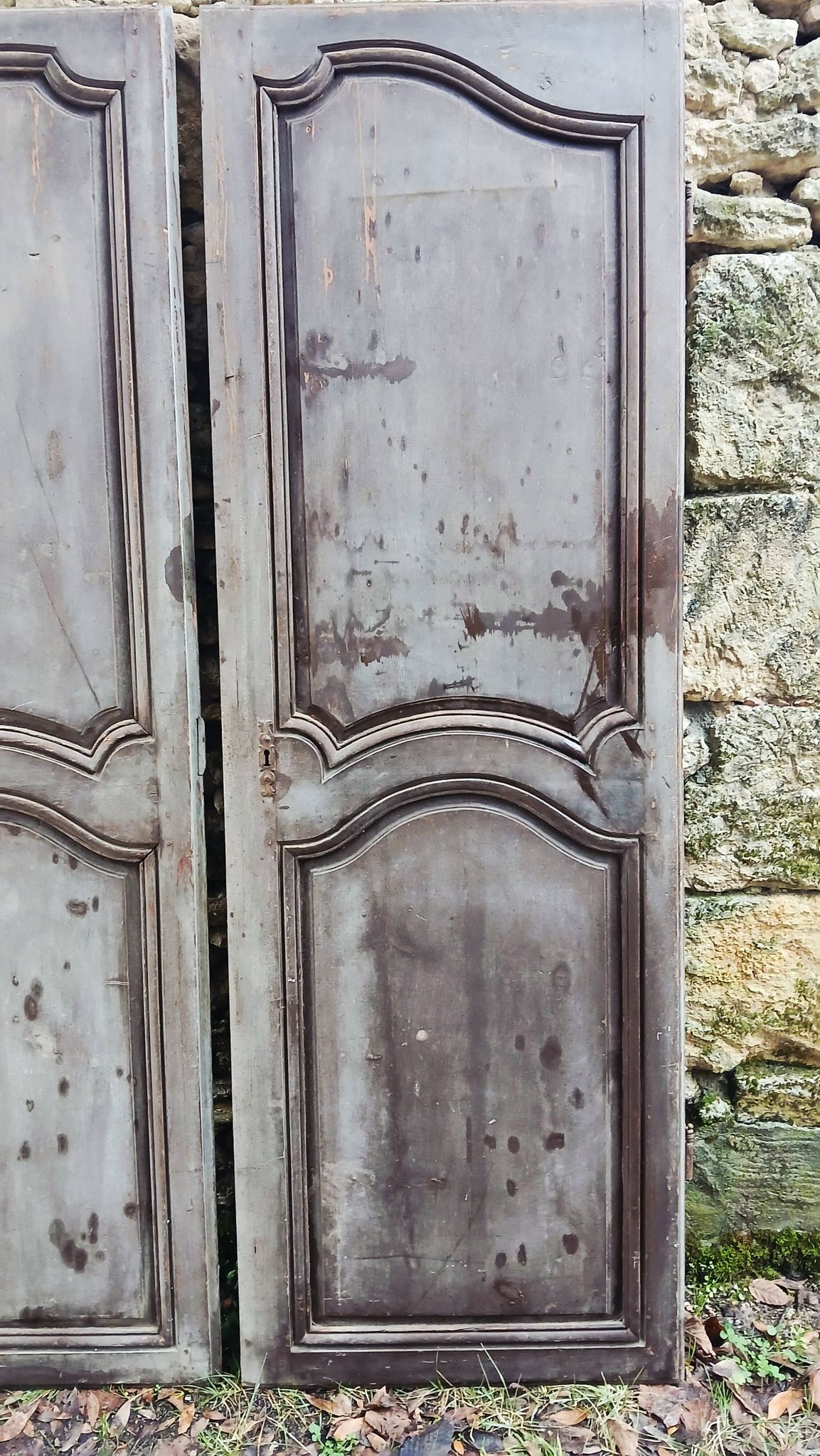 Pair of antique doors
