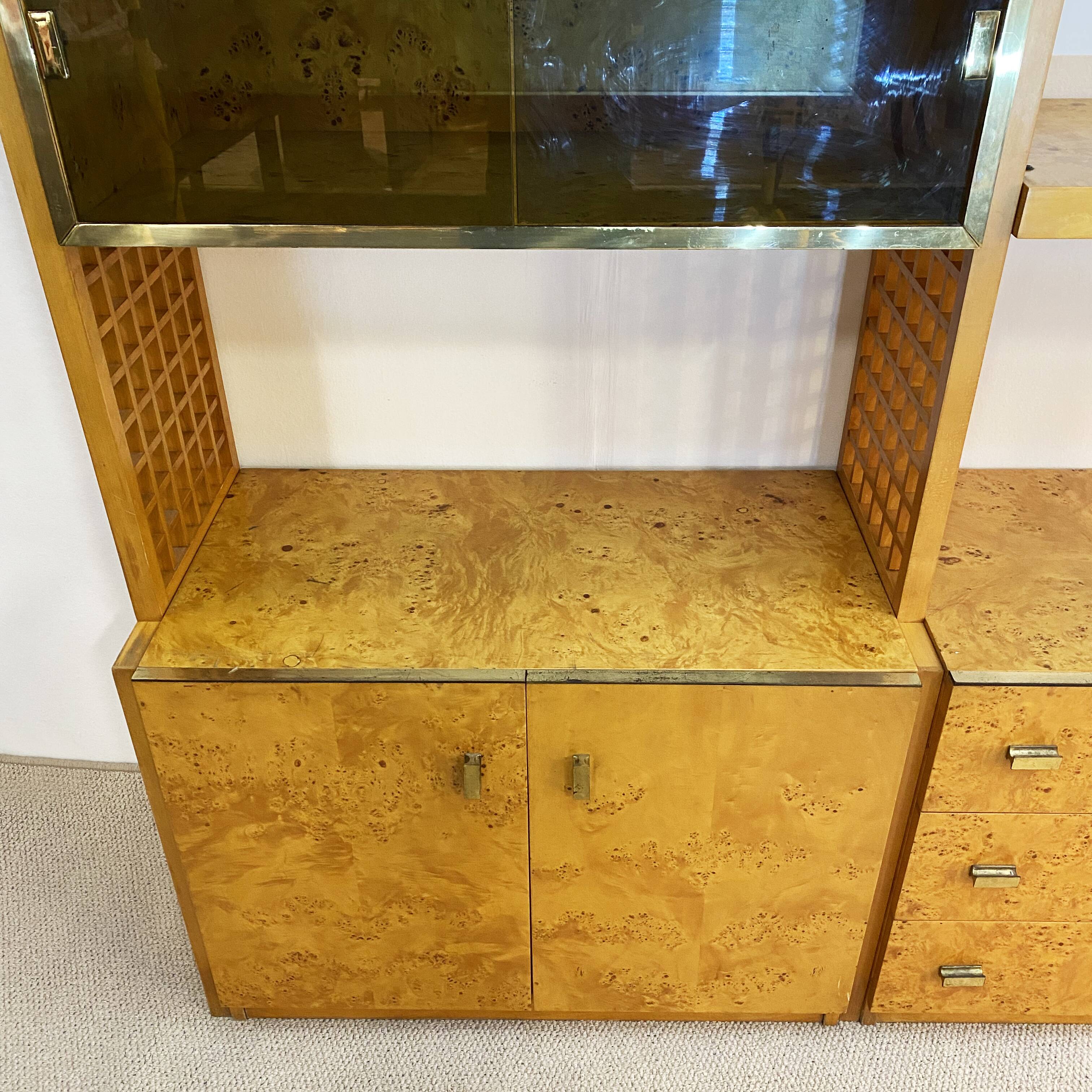 Gianluigi Gorgoni Display Unit 1970s  Fratelli Turi Bookshelf Glass Brass Briar Burl rizzo