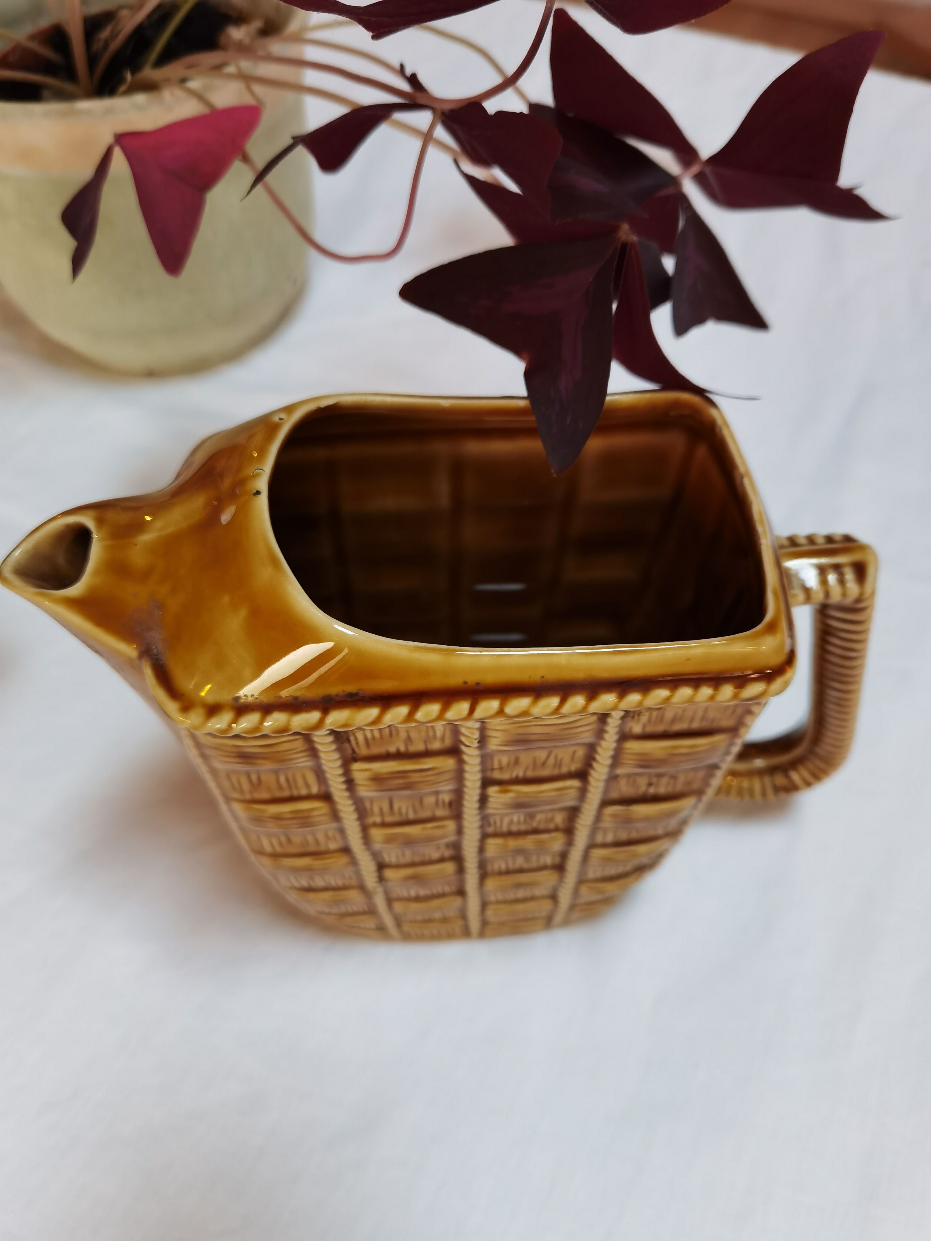 Pitcher water bubble