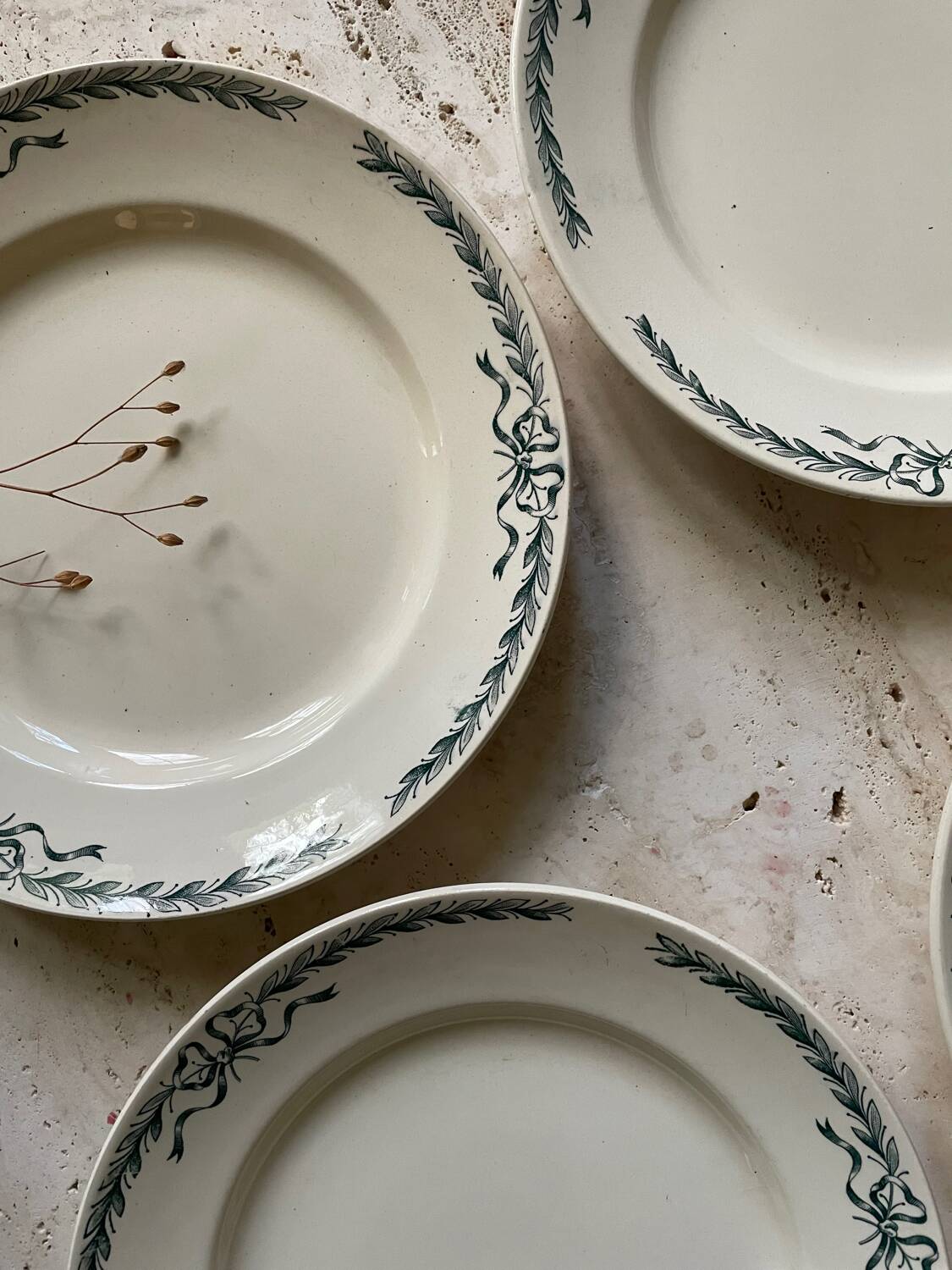 6 Belleville Longchamp old iron earth flat plates