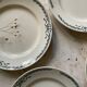 6 Belleville Longchamp old iron earth flat plates