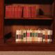 open mahogany library William IV circa 1830-England with drawer