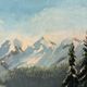 Paysage à l’huile signé 40cmx55cm