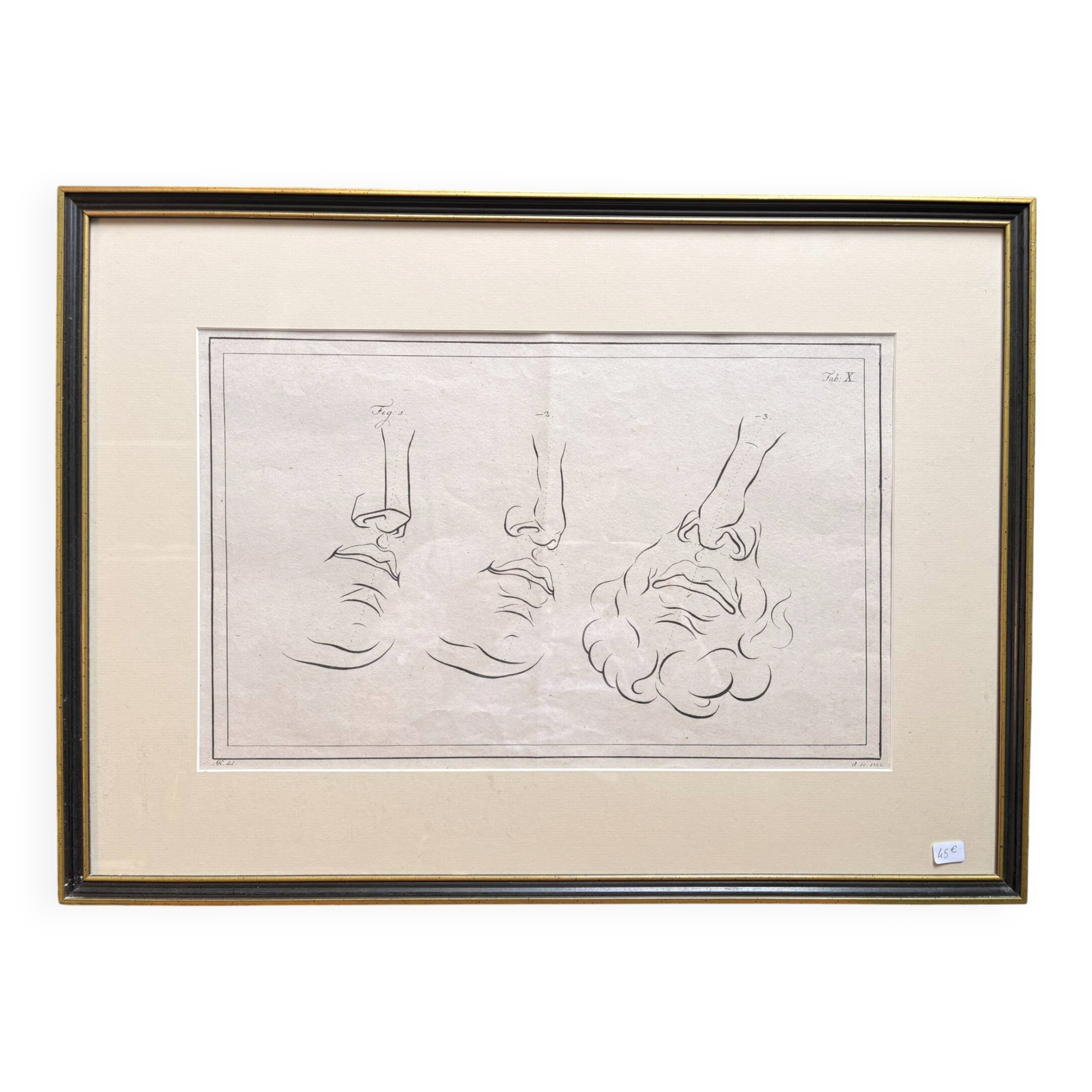 19th Century Gravure Anatomy Nose Mouth Plate Head Morphology Bernard Julien