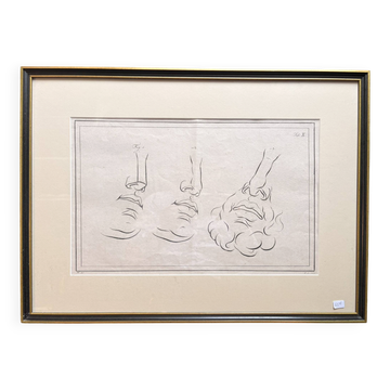 19th Century Gravure Anatomy Nose Mouth Plate Head Morphology Bernard Julien