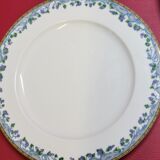 5 large flat plates guy degrenne model tuscany porcelain limoges
