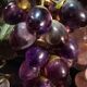 Lampe raisin