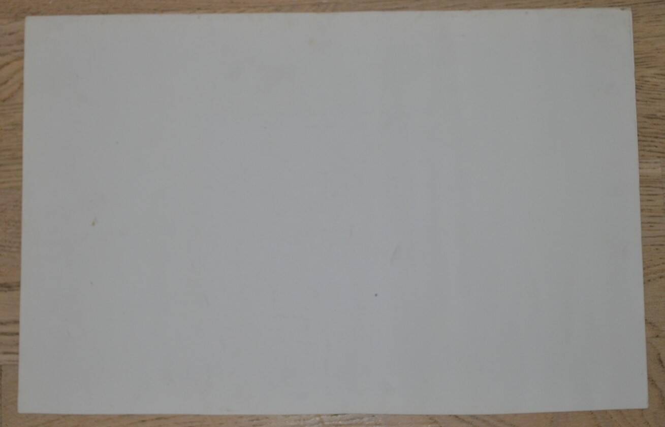 Larcher, Le Creusot: the Schneider factories, France, 1800s, in albumen, set of 2