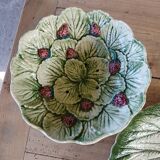 Flat slushie set and strawberry drainer